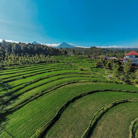Candra Cottage Munduk Esterno foto