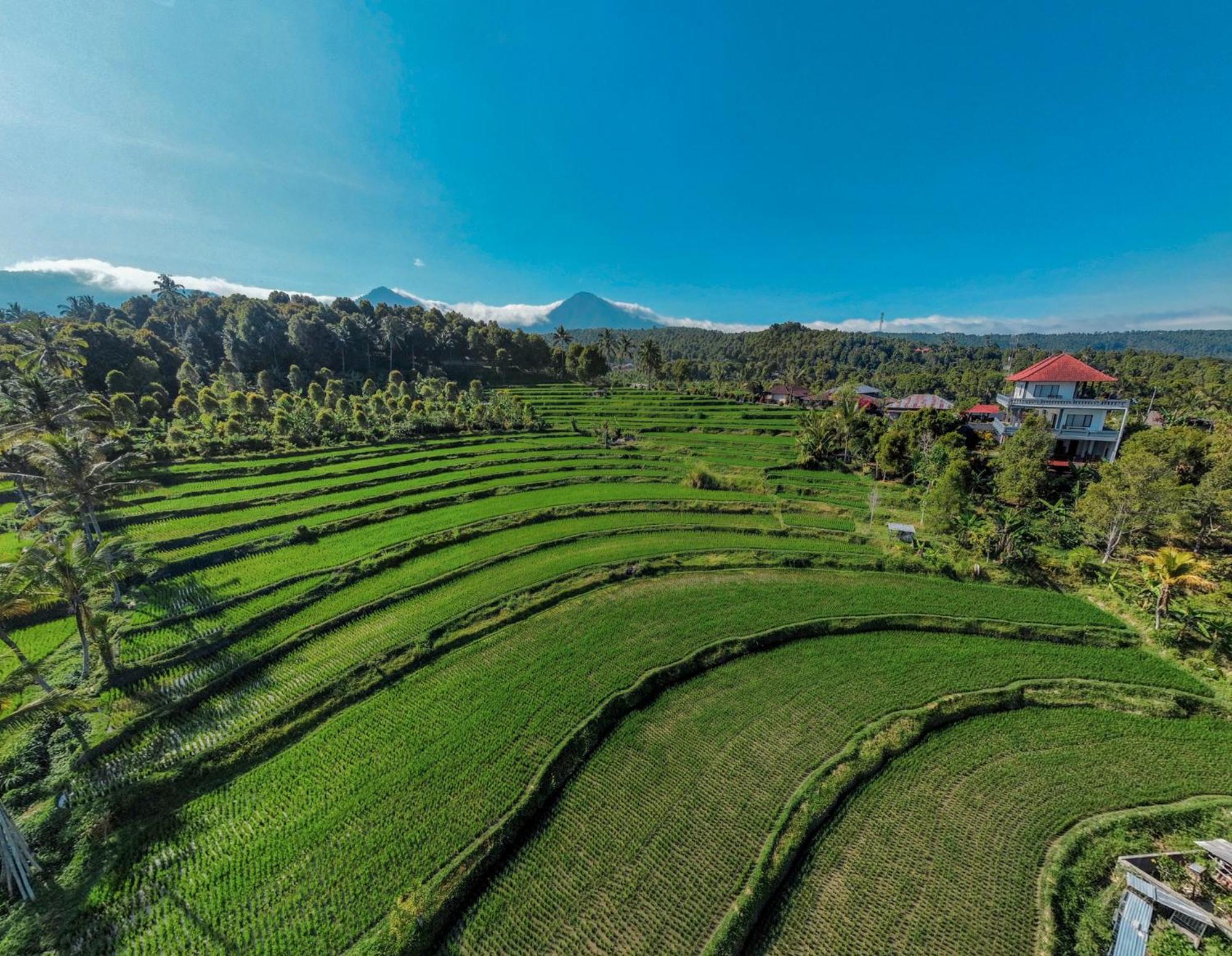 Candra Cottage Munduk Esterno foto